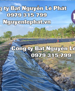 Cung Cấp Màng Chống Thấm HDPE, Màng Vải Địa Kỹ Thuật tại Bà Rịa Vũng Tàu