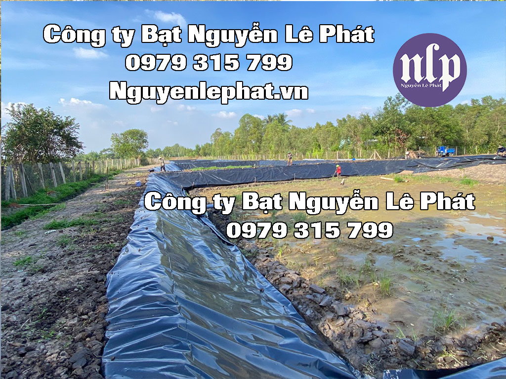 Cung Cấp Màng Chống Thấm HDPE, Màng Vải Địa Kỹ Thuật tại Bà Rịa Vũng Tàu
