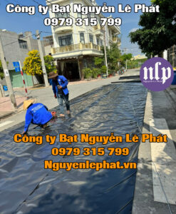 Màng Chống Thấm HDPE Ao Hồ Tại Đắk Lắk