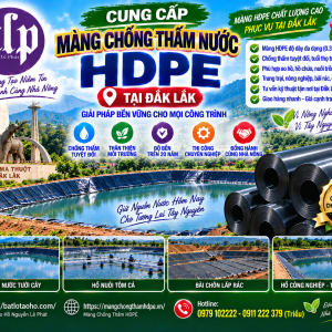 Cung Cấp Màng Chống Thấm Nước HDPE tại Đắk Lắk