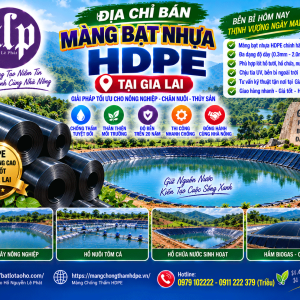 Màng chống thấm nước Gia Lai